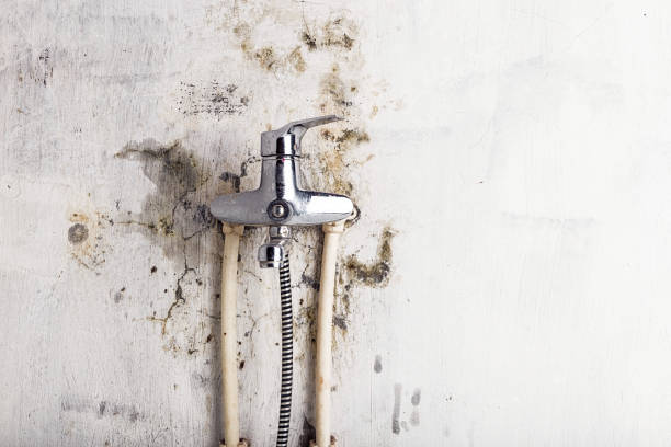 Water Damage Restoration in Wilton, CA