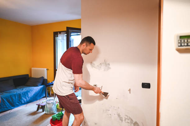 Best Emergency Mold Removal  in Wilton, CA
